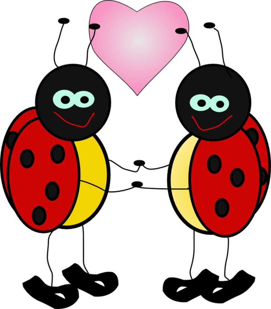 cute love bugs