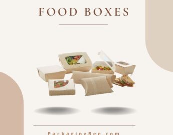 Food-Box-Packaging