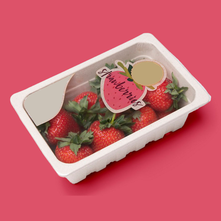 sealed-tray-food-packaging