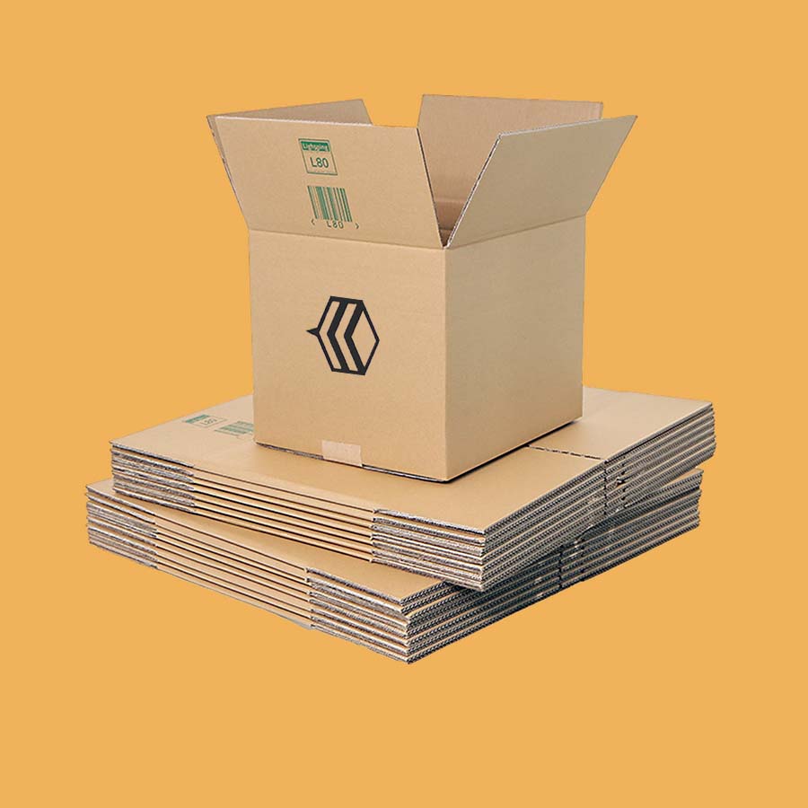 Carton Packaging 