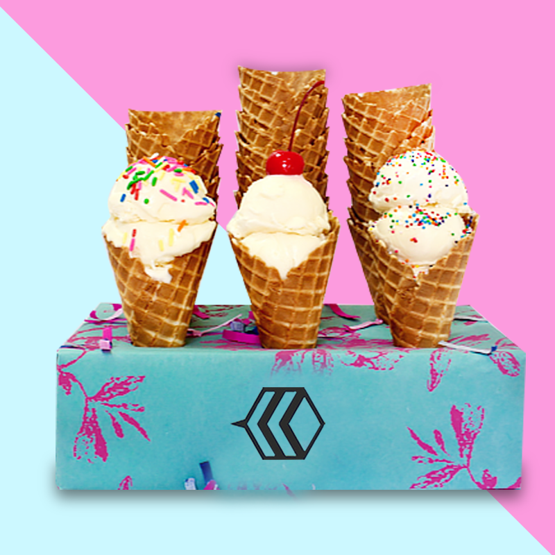 ice-cream-cone-cupcake-carrier