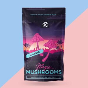 Mashroom-Mylar-bags