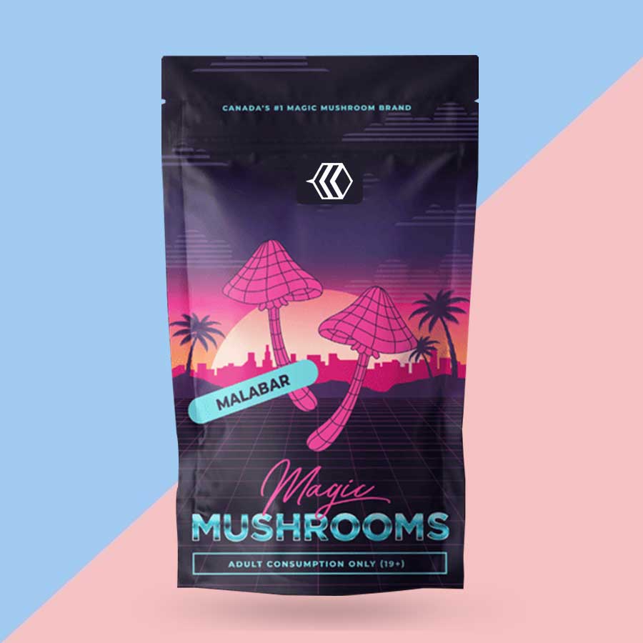 Mushroom Mylar Bags 