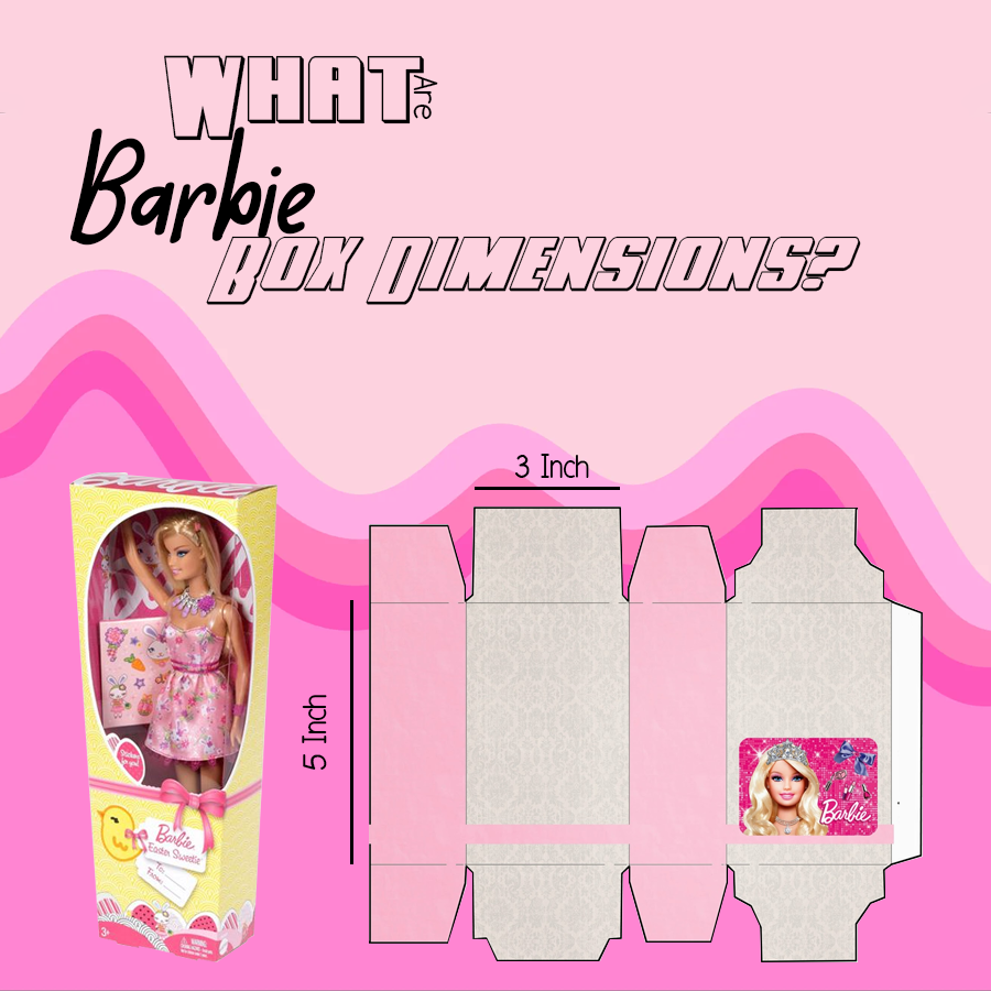 Deciphering Barbie Box Dimensions: A Collector's Guide