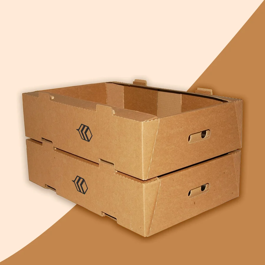 tray-boxes-cardboard