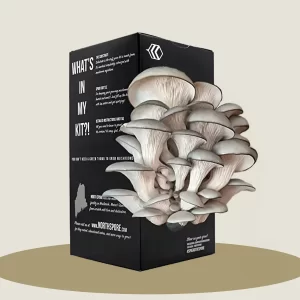 cardboard-mushroom-boxes