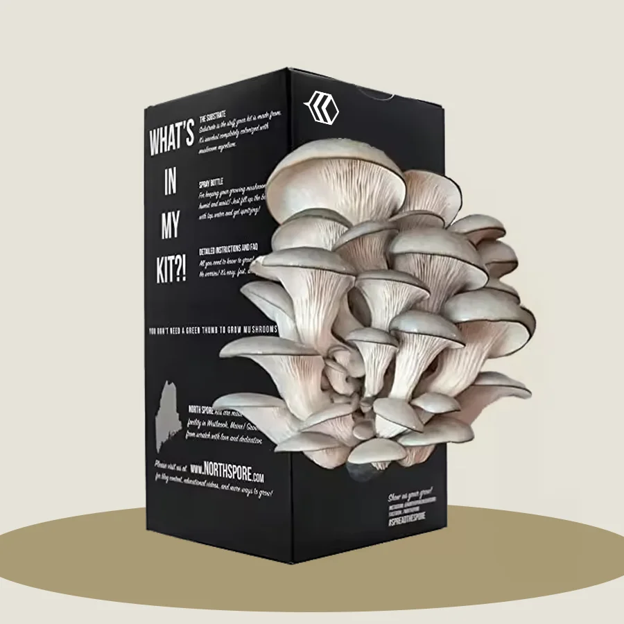 Cardboard Mushroom Boxes 
