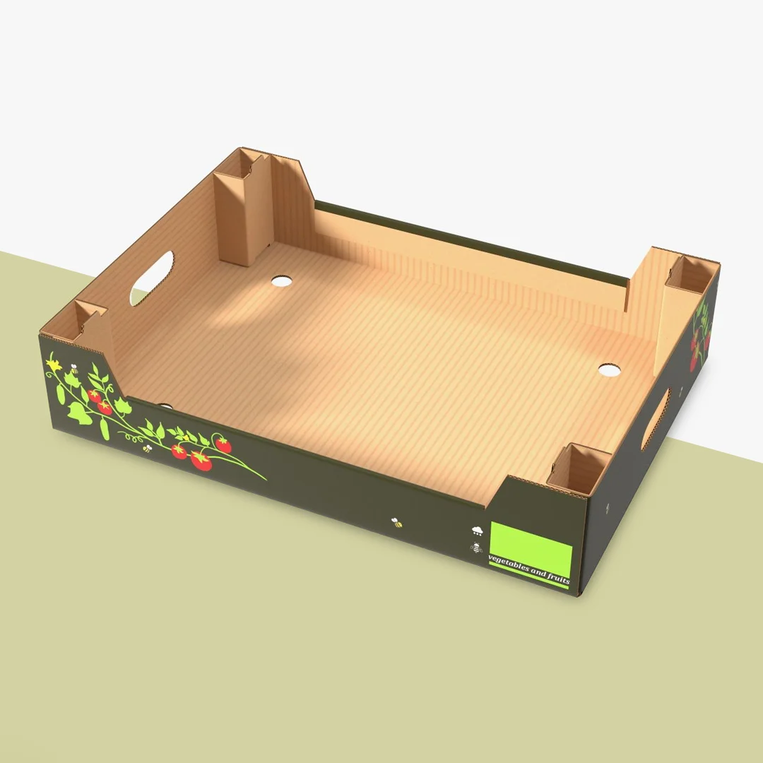 Cardboard Trays